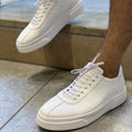 Apollo sneaker - White